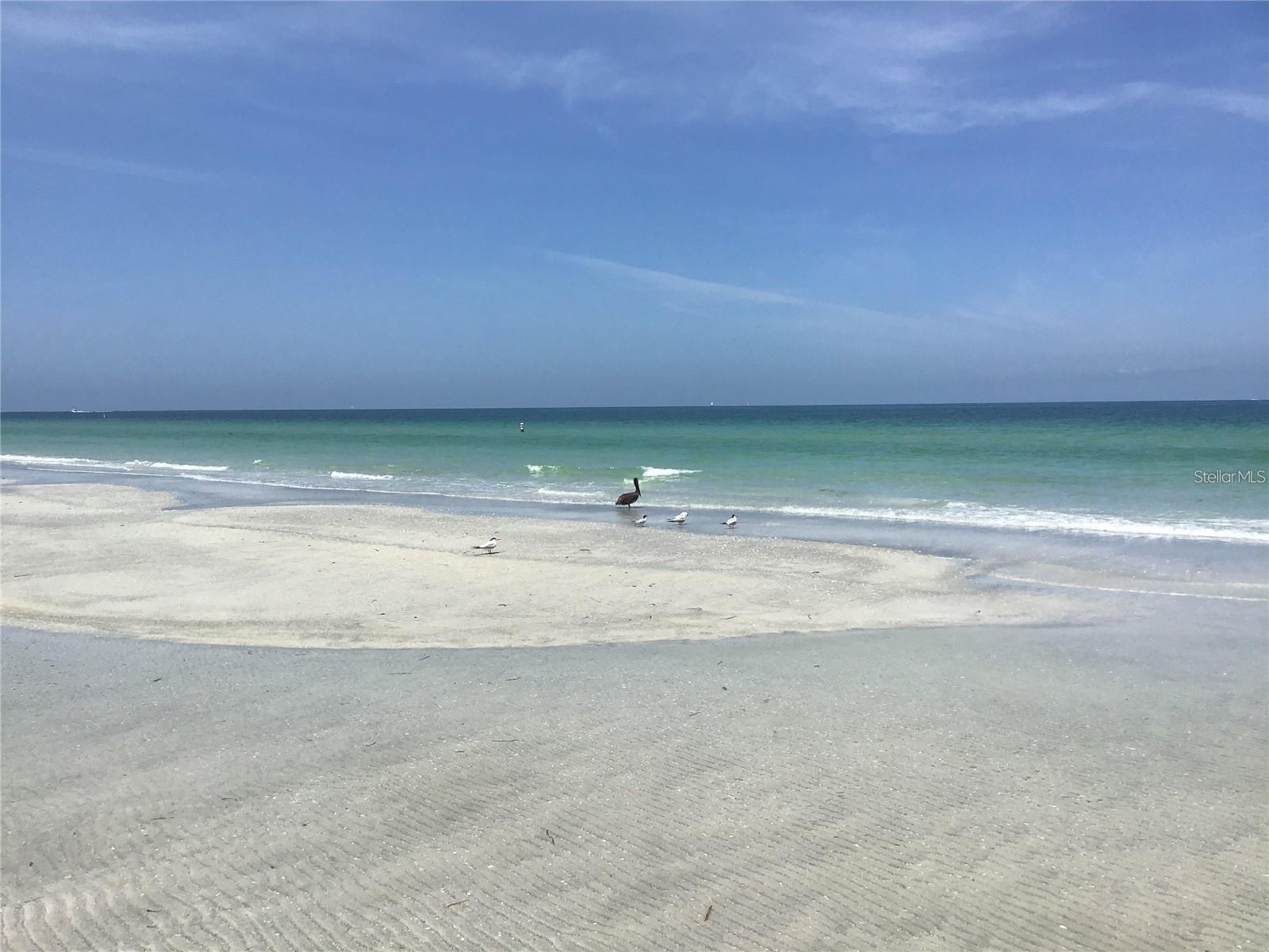 Image 42 of 46 For 1400 Gulf Boulevard 701