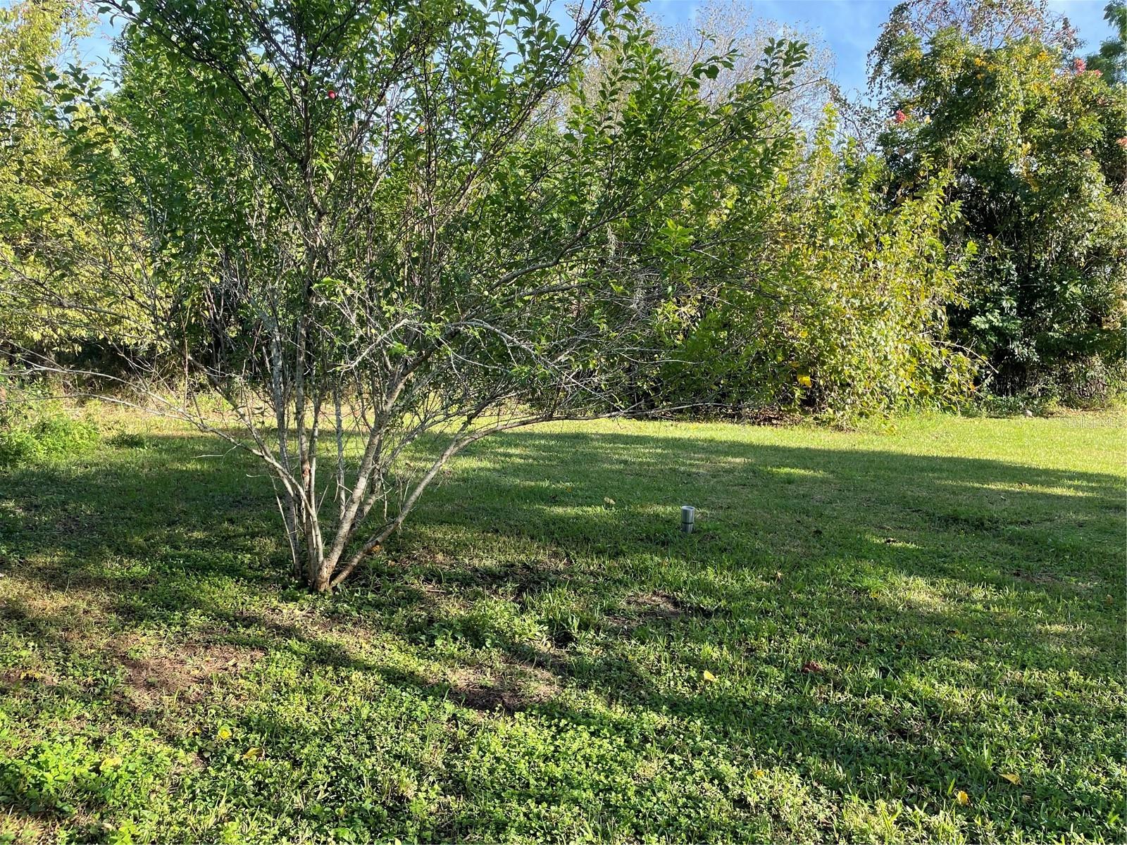 Image 5 of 5 For 37243 Rose Avenue