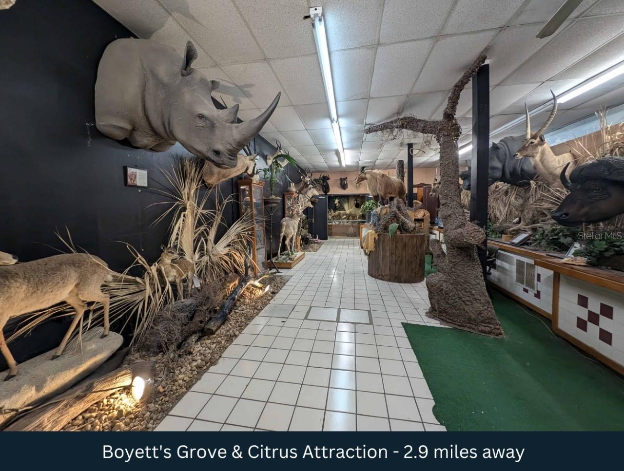 Image 22 of 25 For 27360 Cortez Boulevard