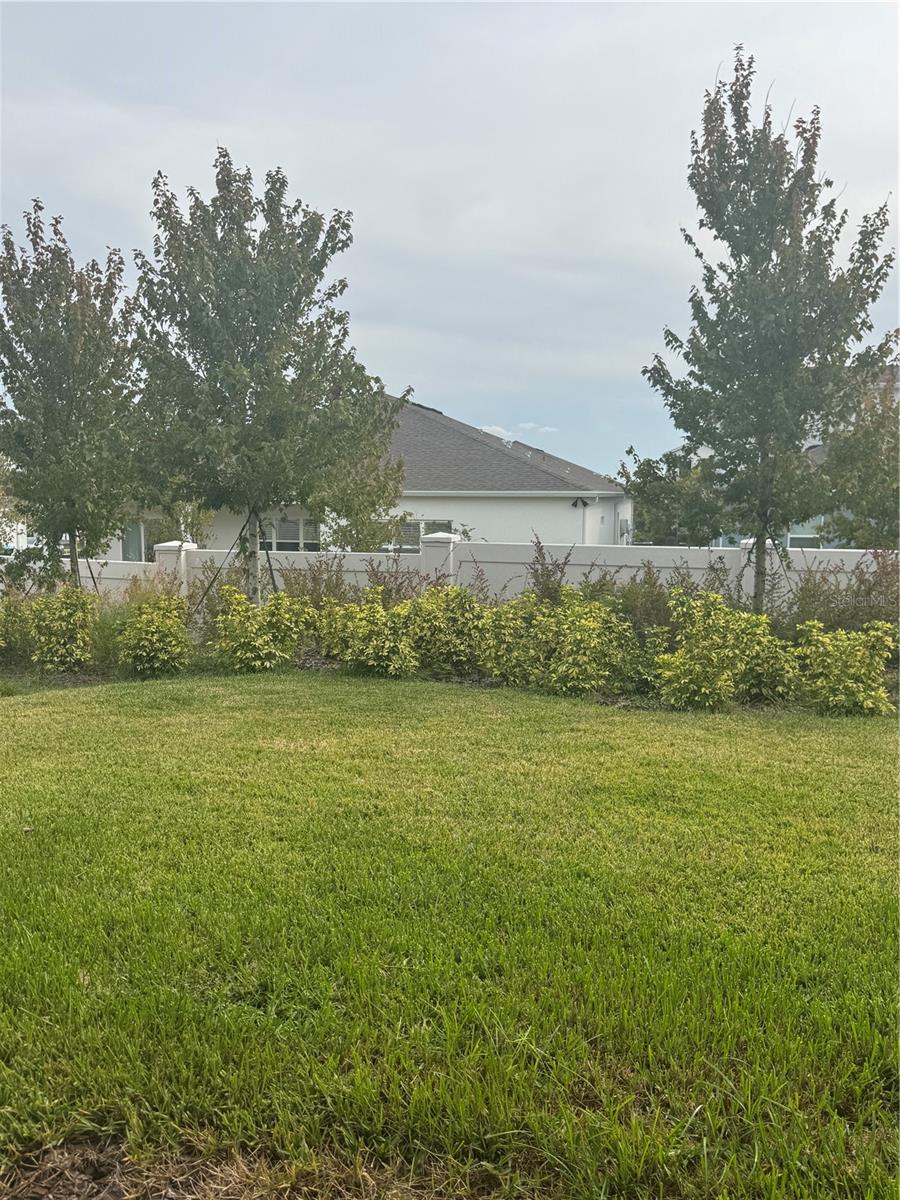 Image 5 of 9 For 15319 Soaring Bluff Drive