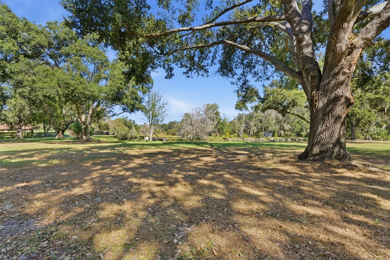 Image 44 of 53 For 2506 Hawk Griffin Road