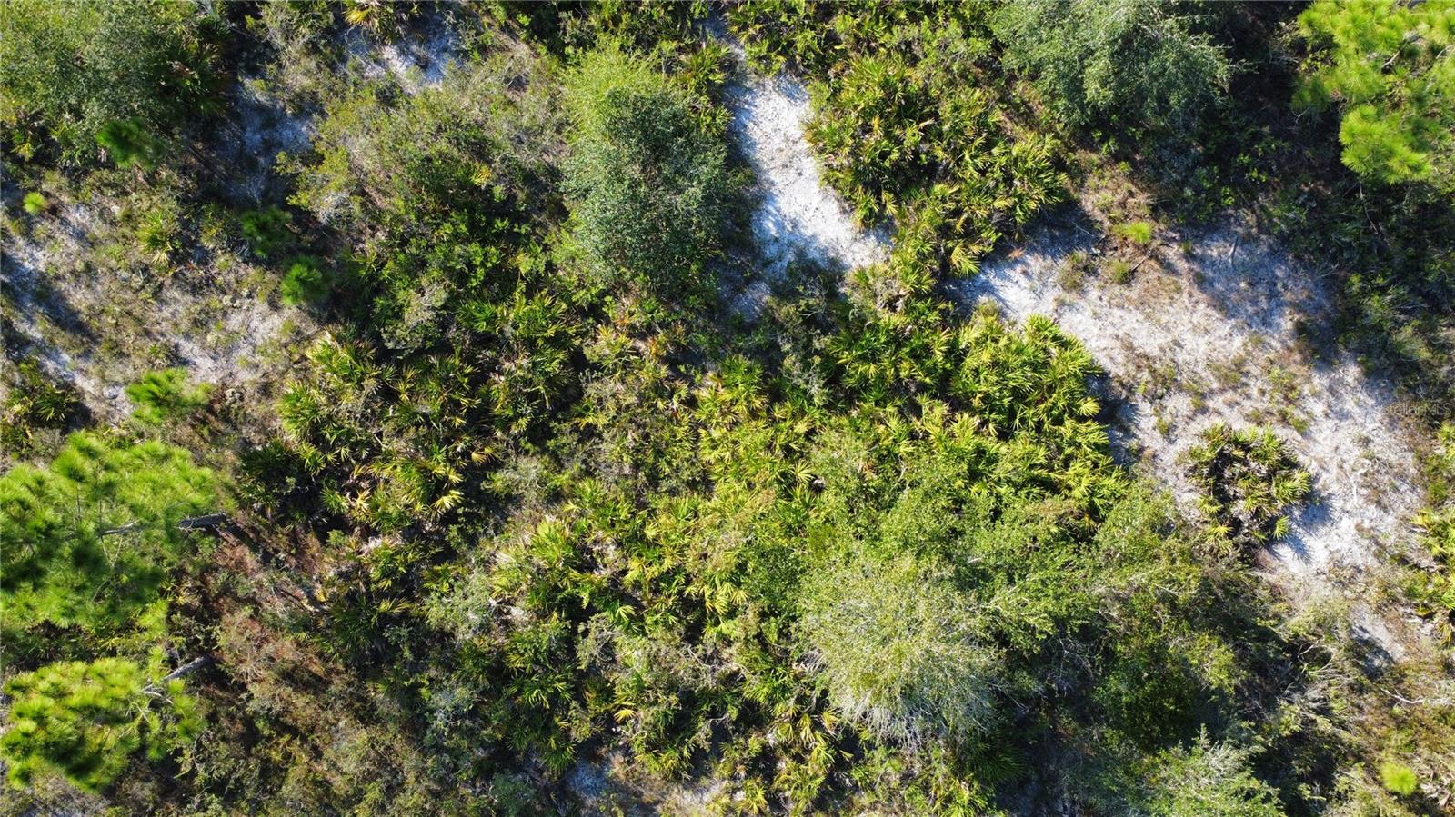 Image 10 of 10 For 519 Allamanda Drive