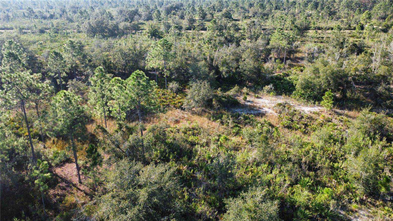 Image 2 of 10 For 519 Allamanda Drive