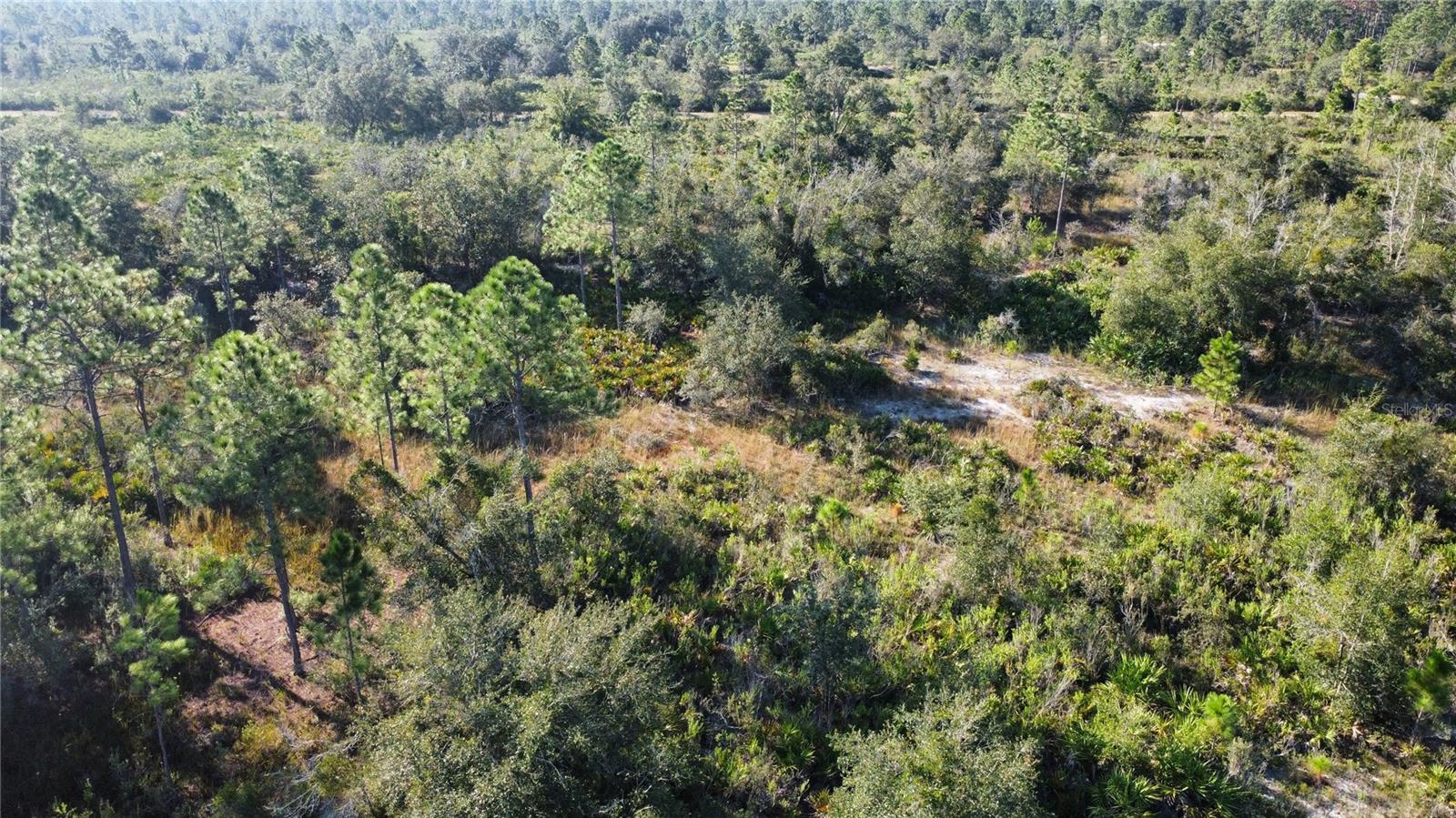 Image 3 of 10 For 519 Allamanda Drive