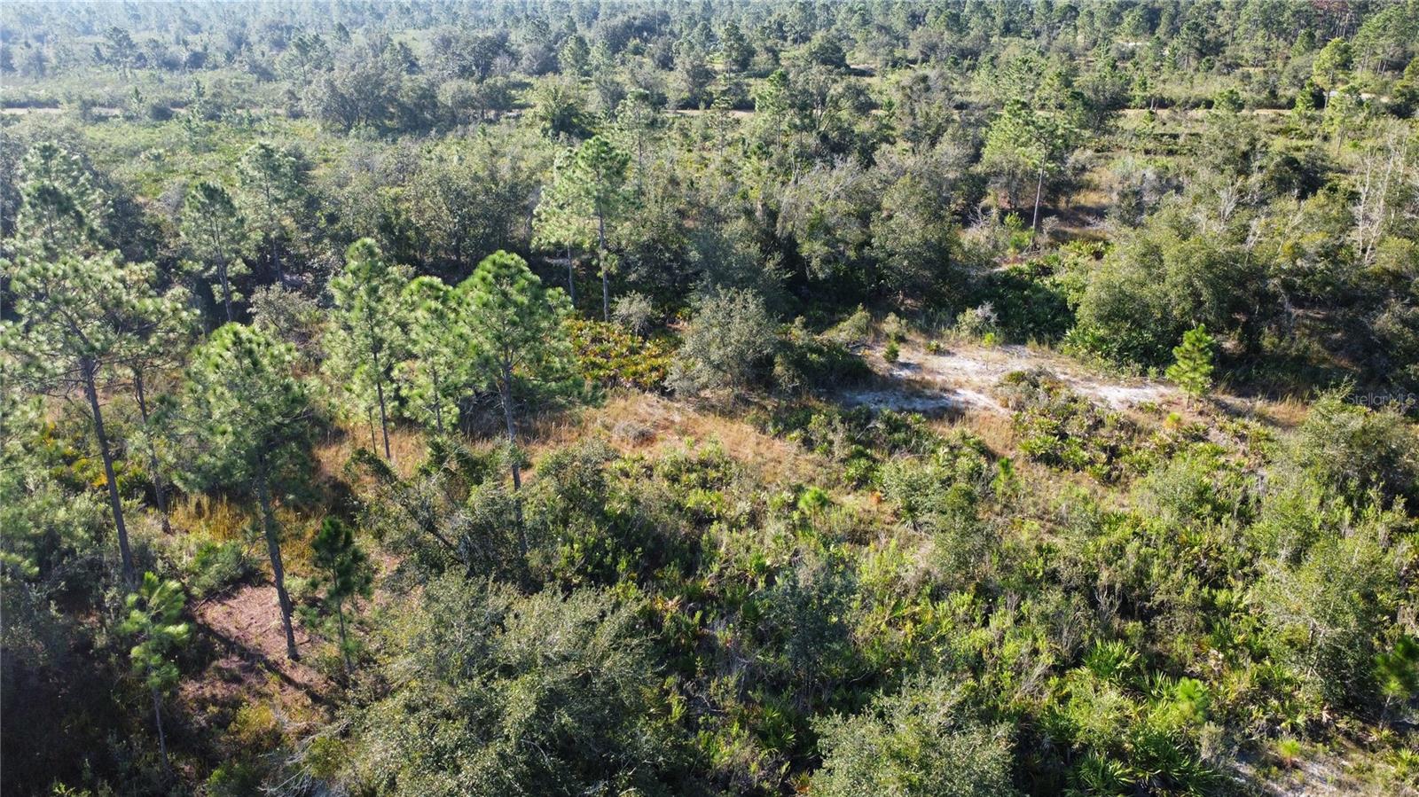 Image 4 of 10 For 519 Allamanda Drive