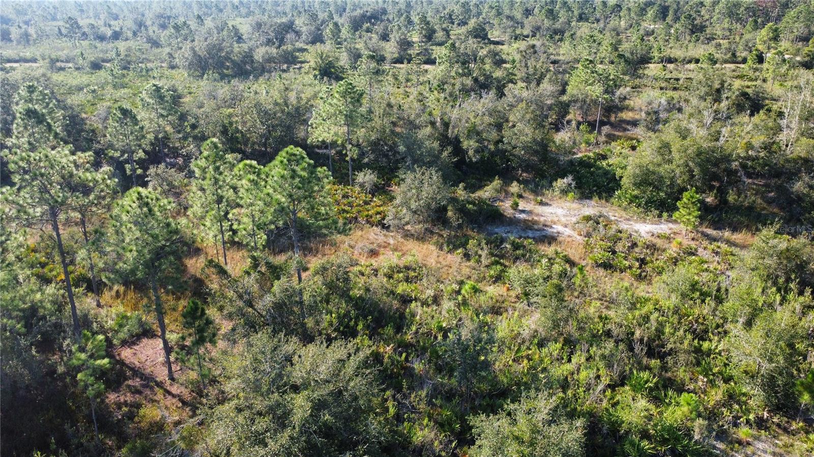 Image 6 of 10 For 519 Allamanda Drive