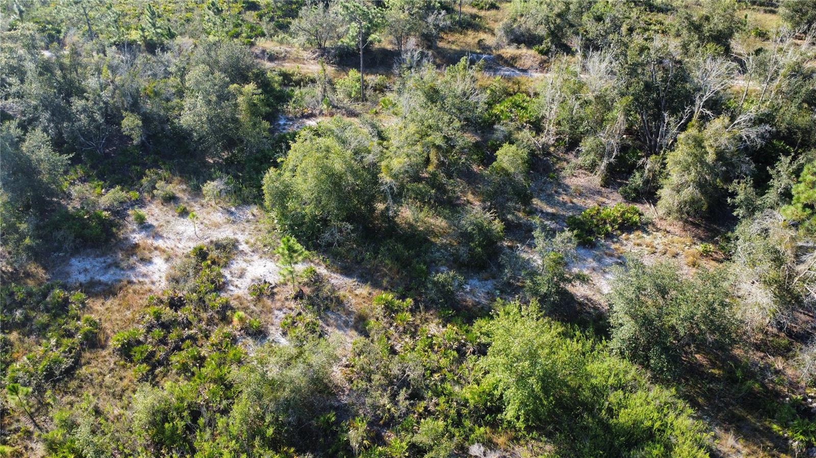 Image 8 of 10 For 519 Allamanda Drive