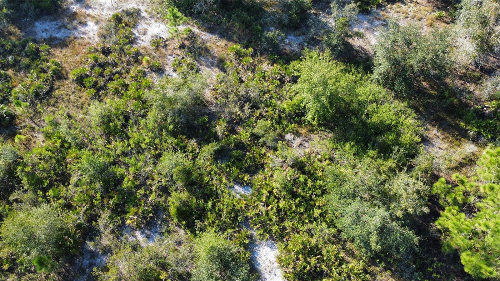 Image 9 of 10 For 519 Allamanda Drive