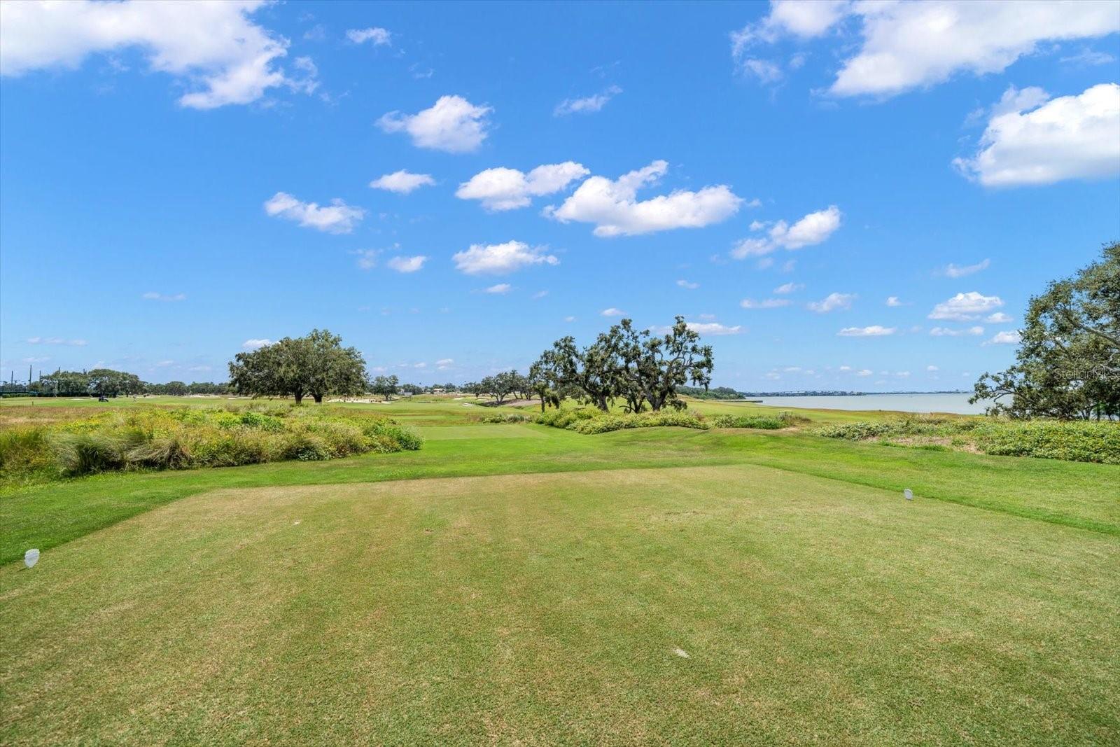 Image 50 of 67 For 4 Belleview Boulevard 106