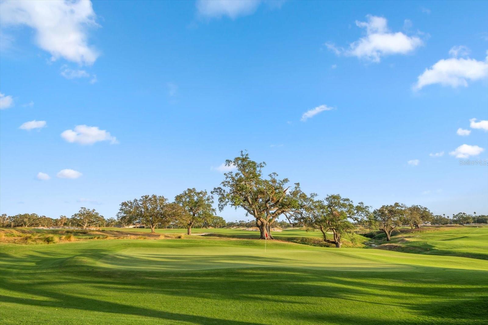 Image 63 of 67 For 4 Belleview Boulevard 106