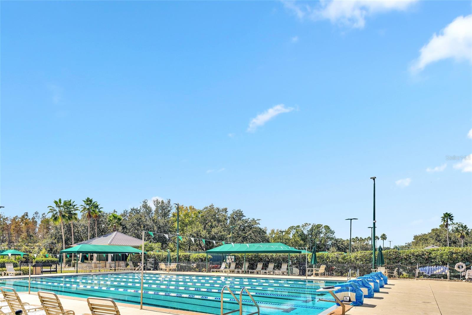 Image 39 of 41 For 10218 Shadow Branch Drive