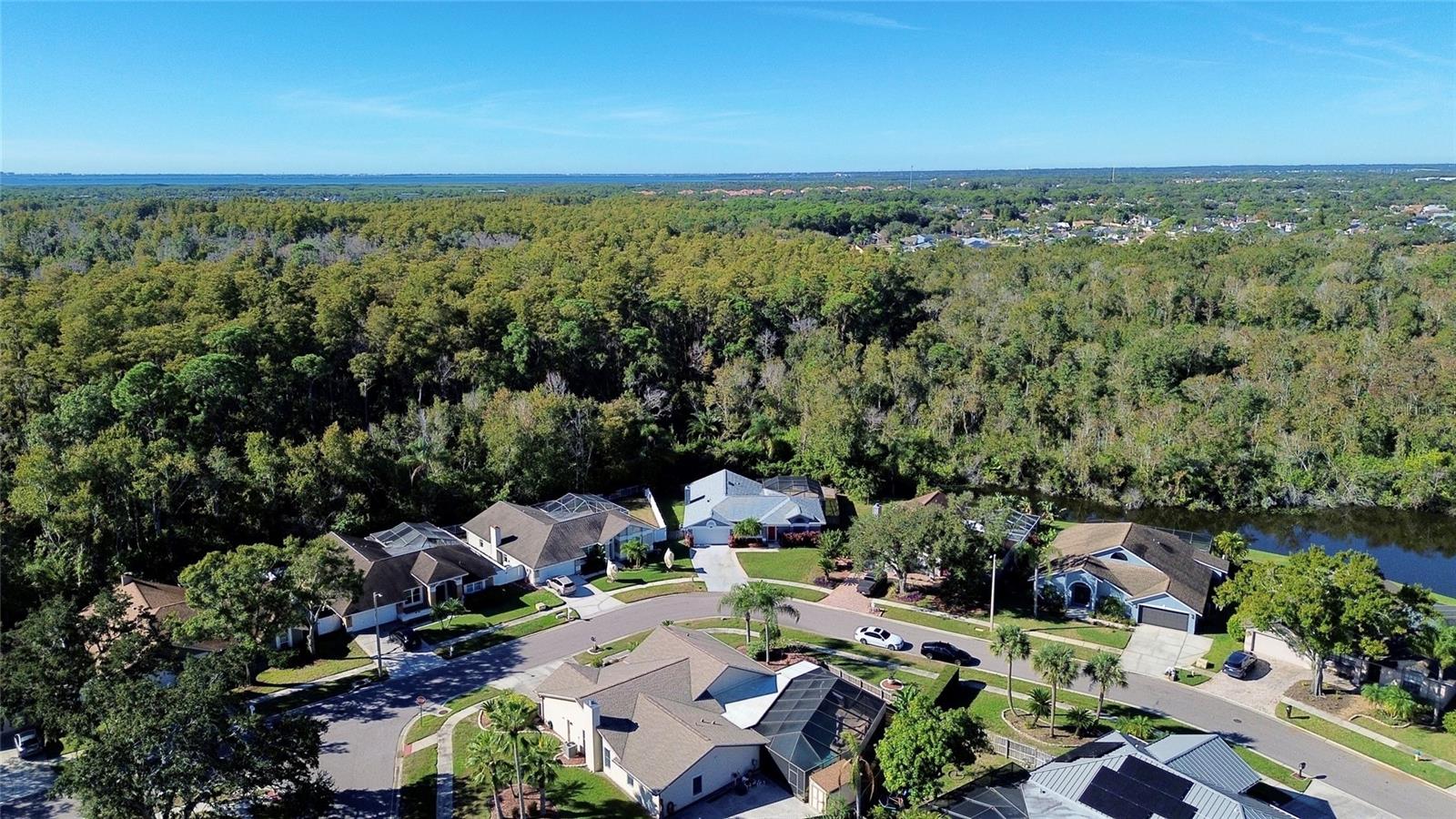 Image 38 of 45 For 11406 Palm Pasture Drive