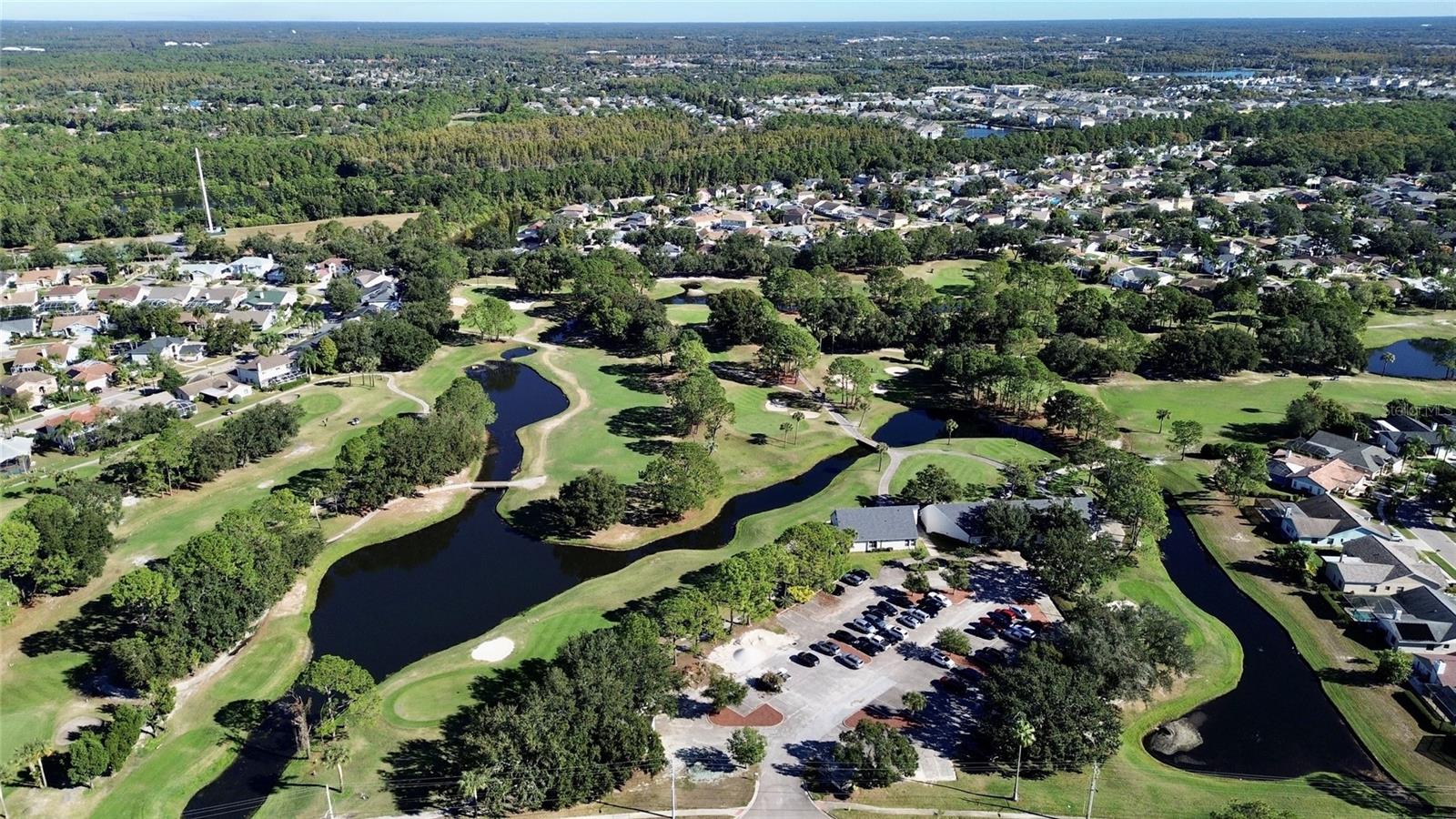 Image 39 of 45 For 11406 Palm Pasture Drive