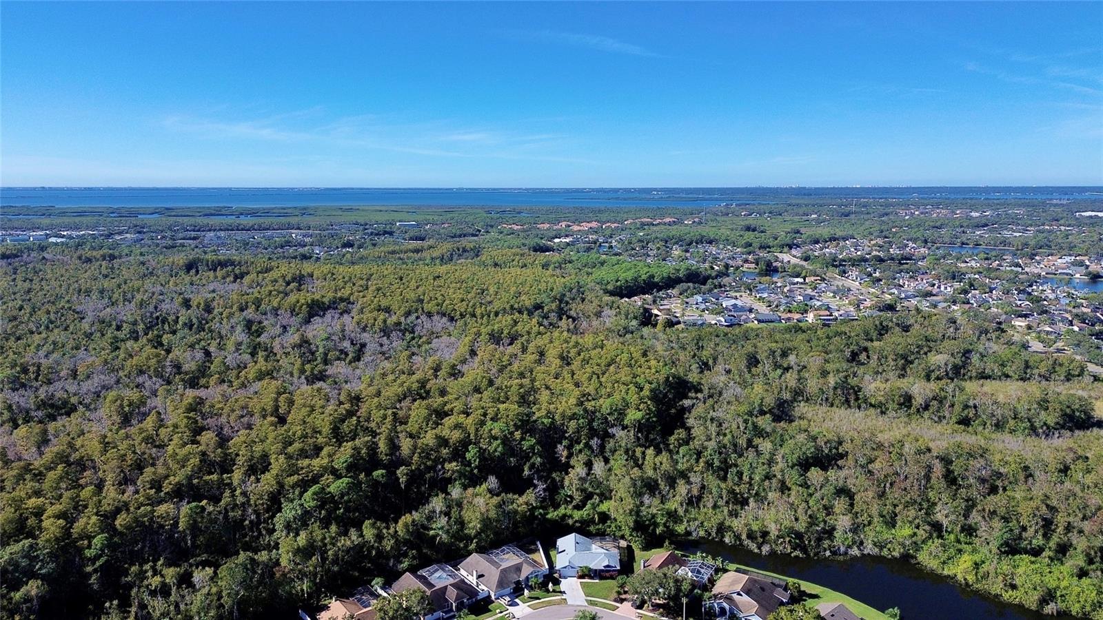 Image 41 of 45 For 11406 Palm Pasture Drive