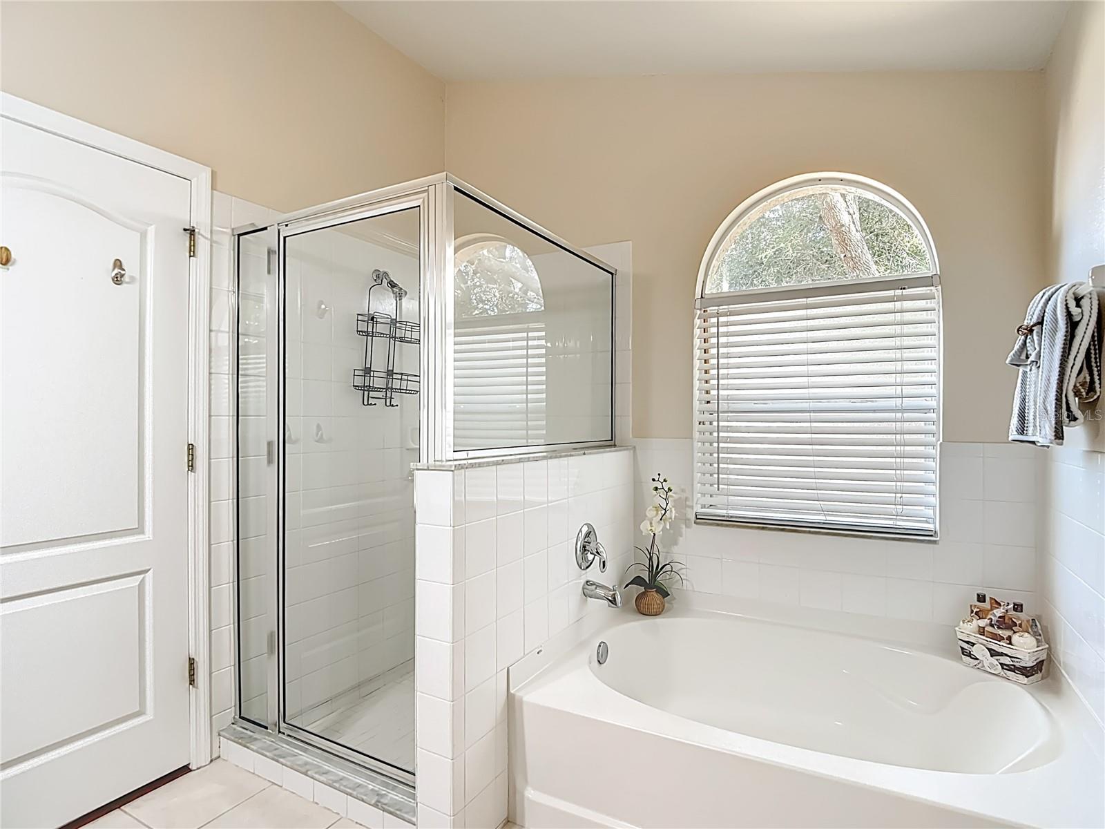 Image 13 of 27 For 509 Somerstone Drive