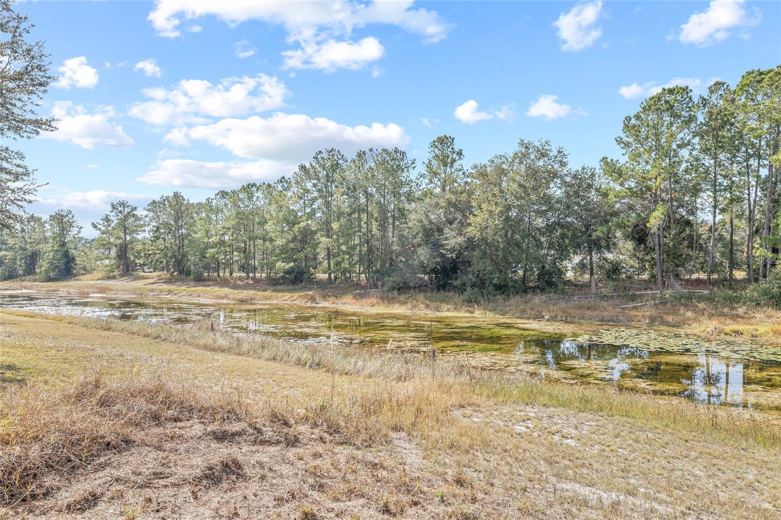 Image 57 of 74 For 11040 Fulton Avenue