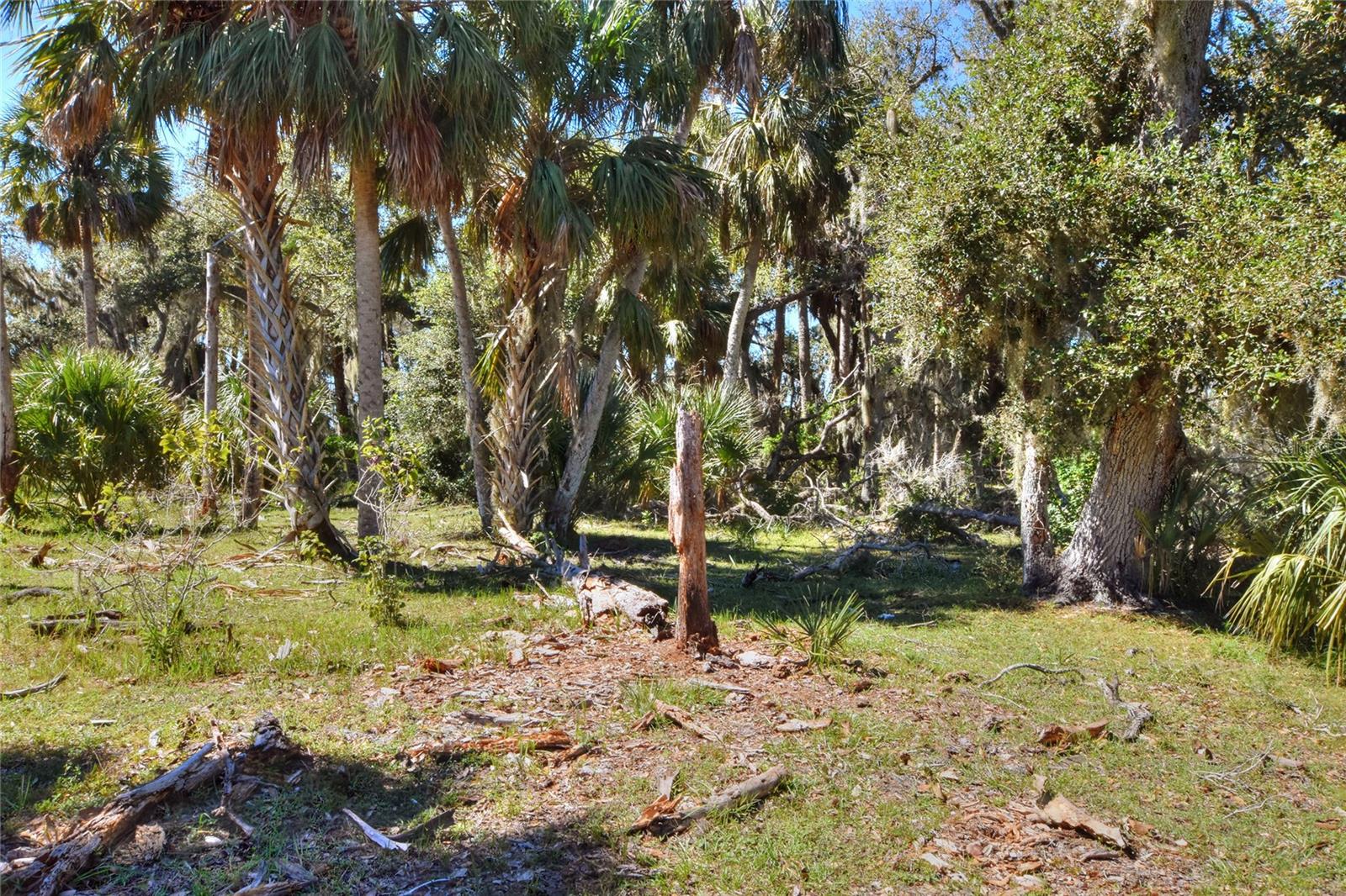 Image 10 of 25 For 46891 Farabee Road