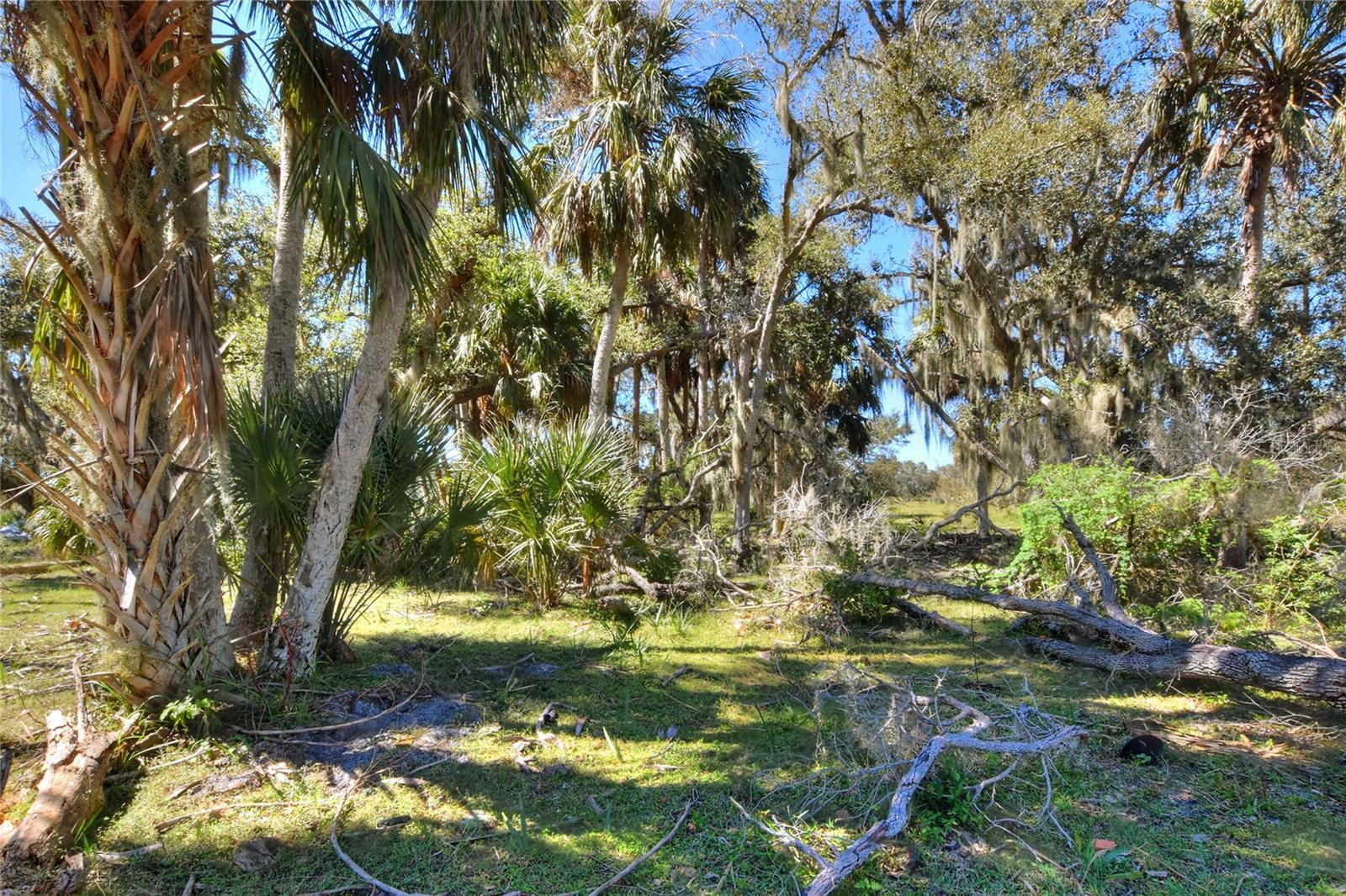 Image 11 of 25 For 46891 Farabee Road