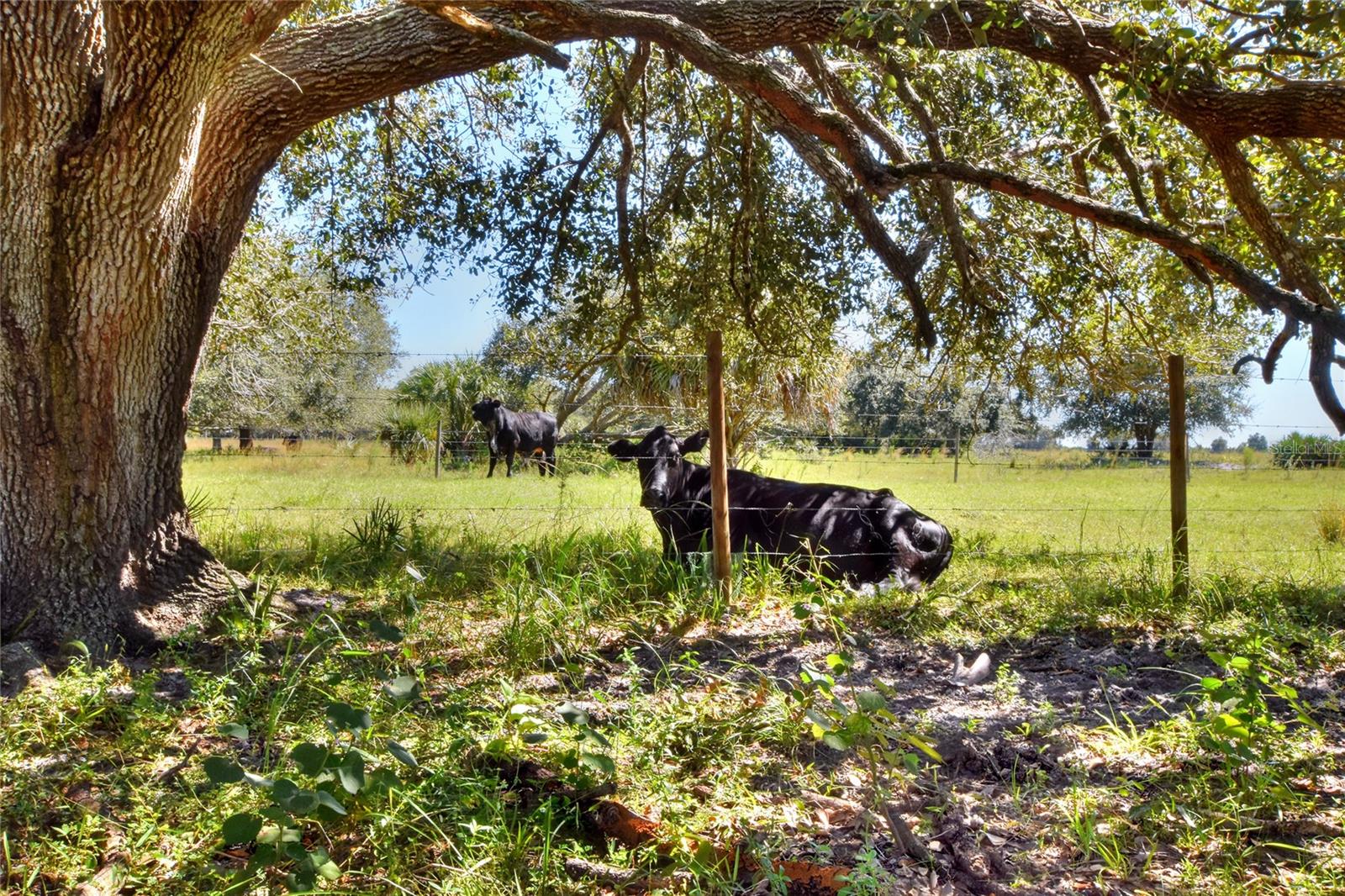 Image 15 of 25 For 46891 Farabee Road