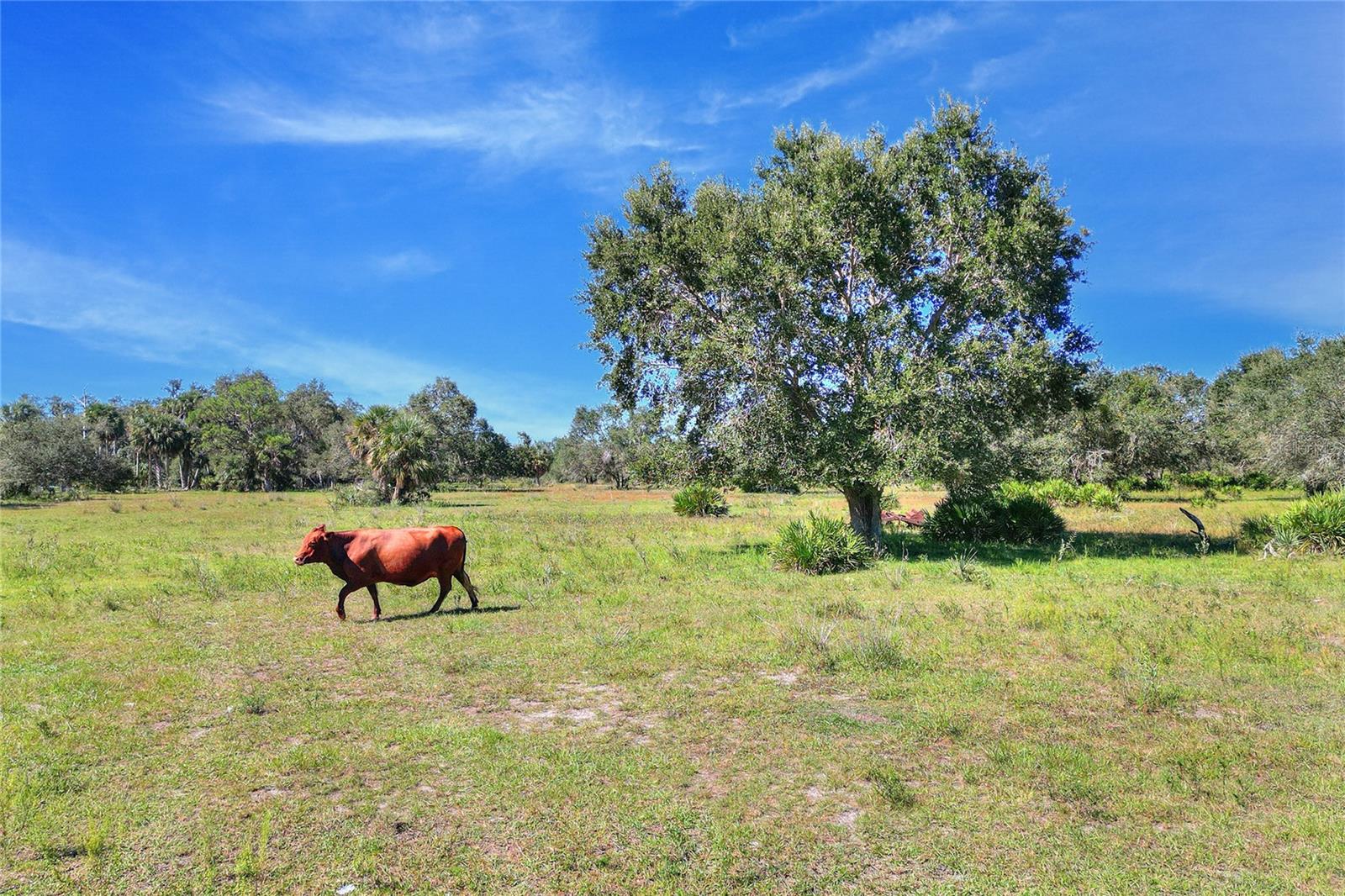 Image 16 of 25 For 46891 Farabee Road