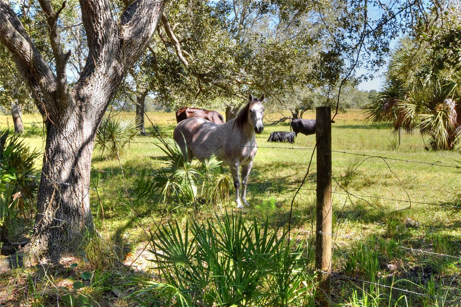 Image 21 of 25 For 46891 Farabee Road