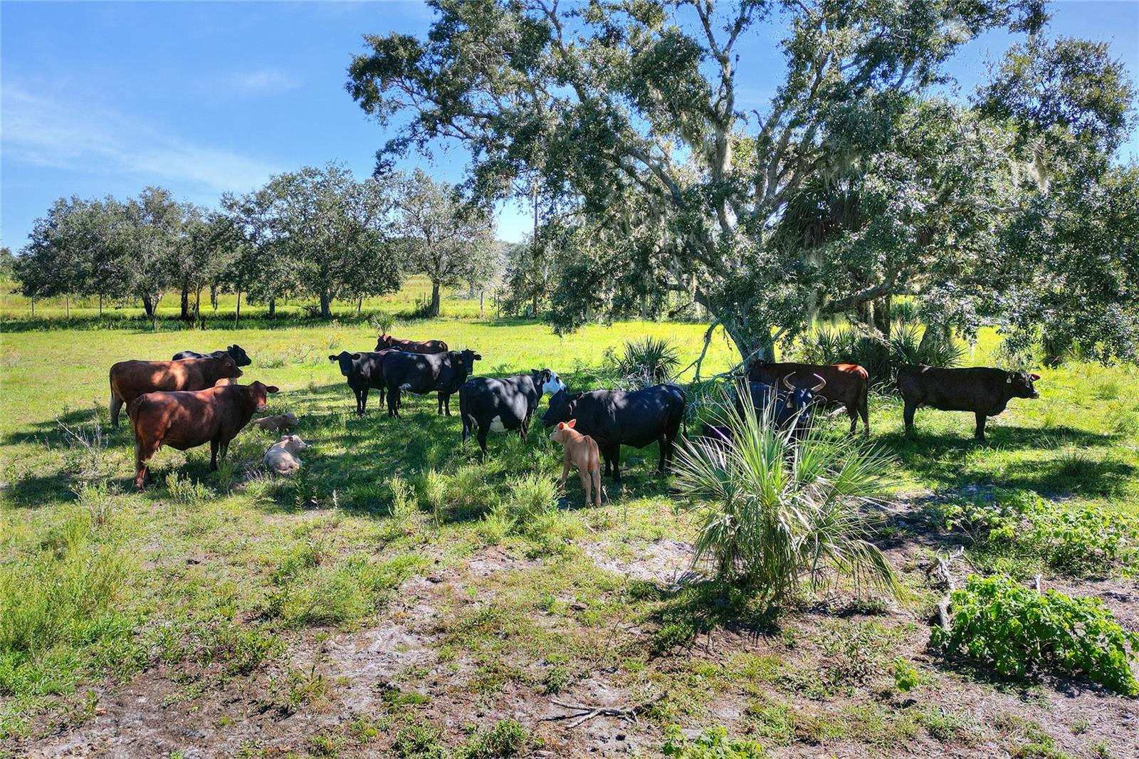 Image 23 of 25 For 46891 Farabee Road