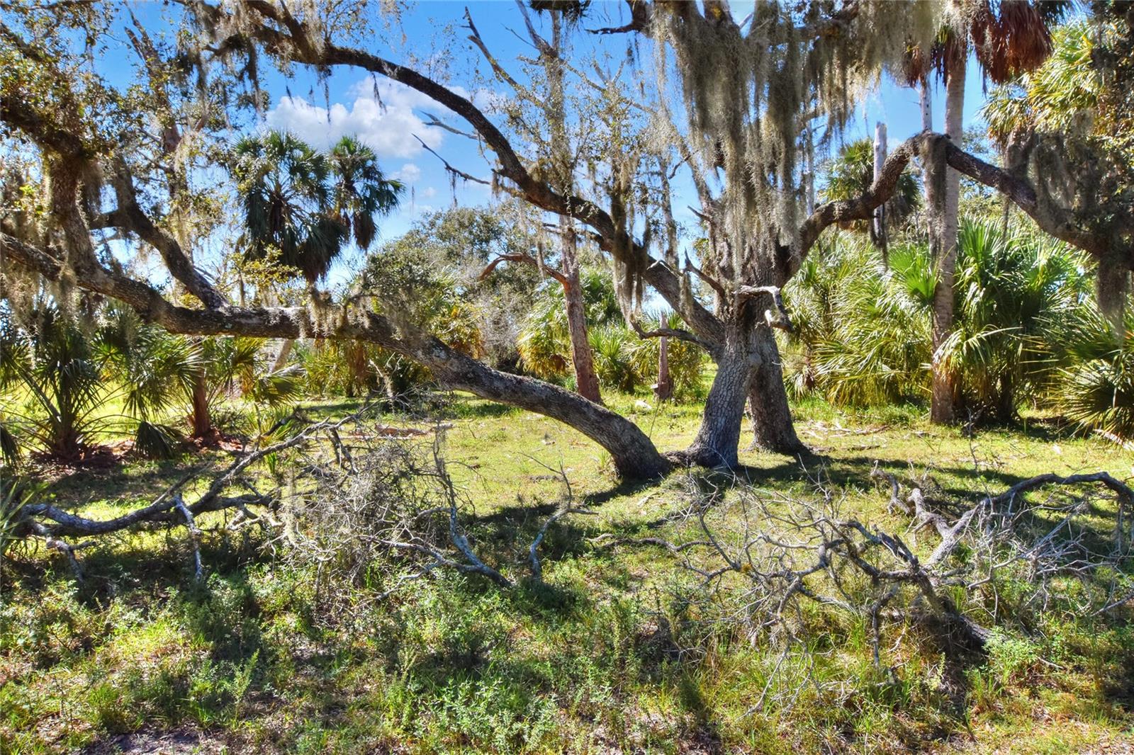 Image 9 of 25 For 46891 Farabee Road