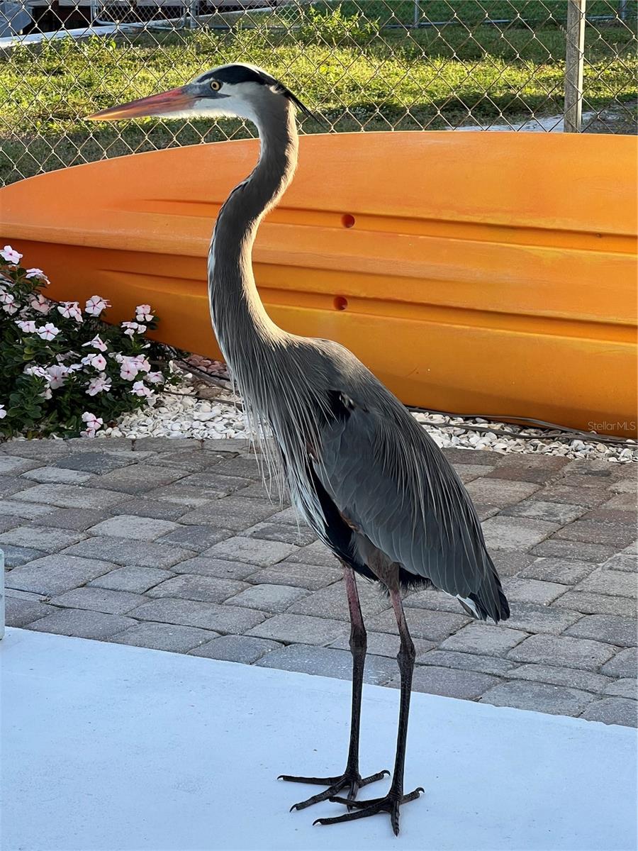 Image 52 of 53 For 4400 Beach Drive Se