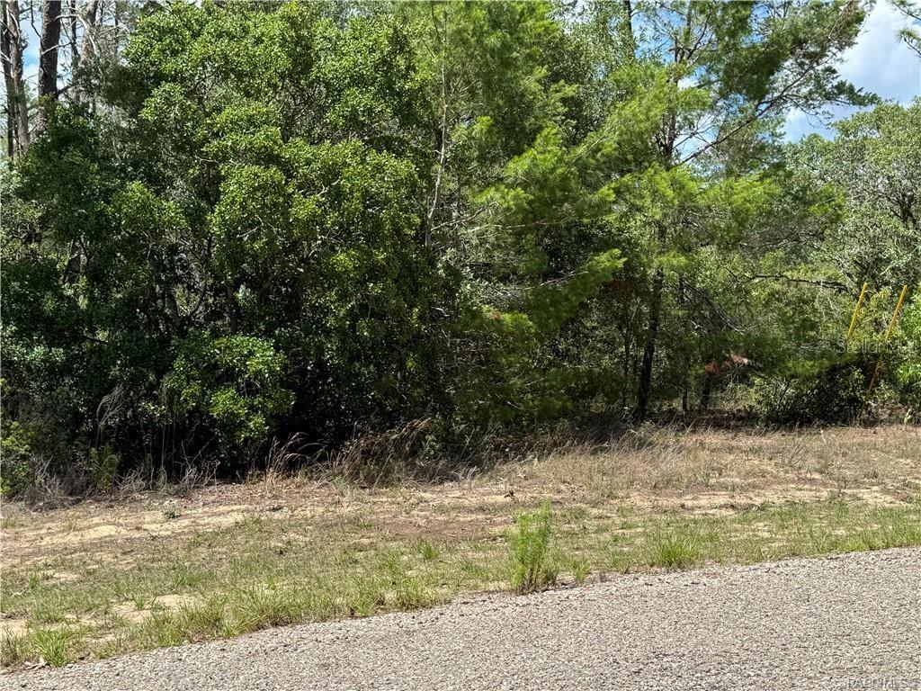 Image 6 of 8 For 8959 Farrington Drive