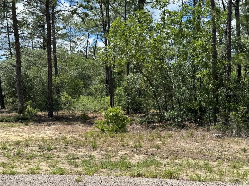 Image 7 of 8 For 8959 Farrington Drive