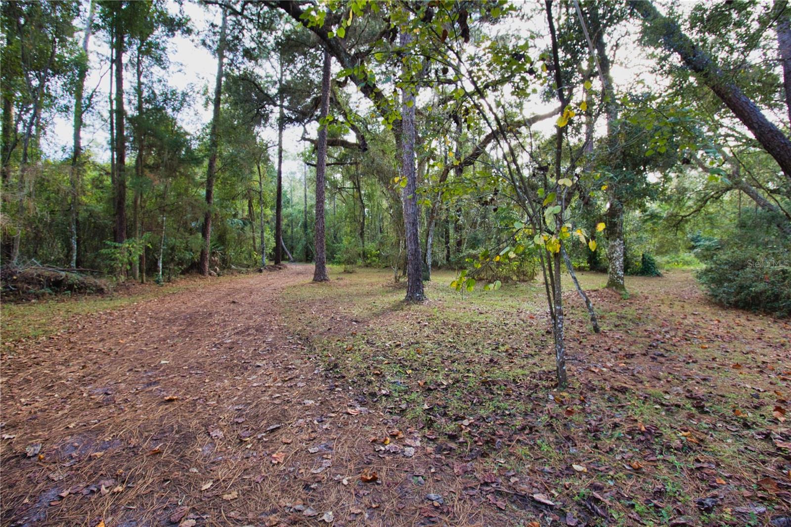 Image 24 of 26 For 2498 Saturn Road