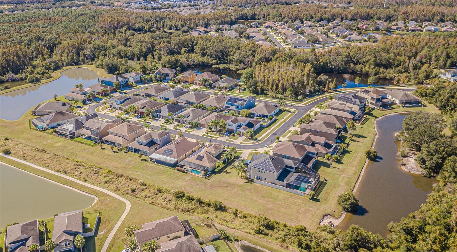 Image 50 of 56 For 32139 Firemoss Lane