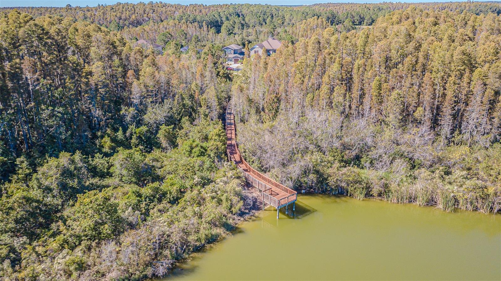 Image 51 of 56 For 32139 Firemoss Lane