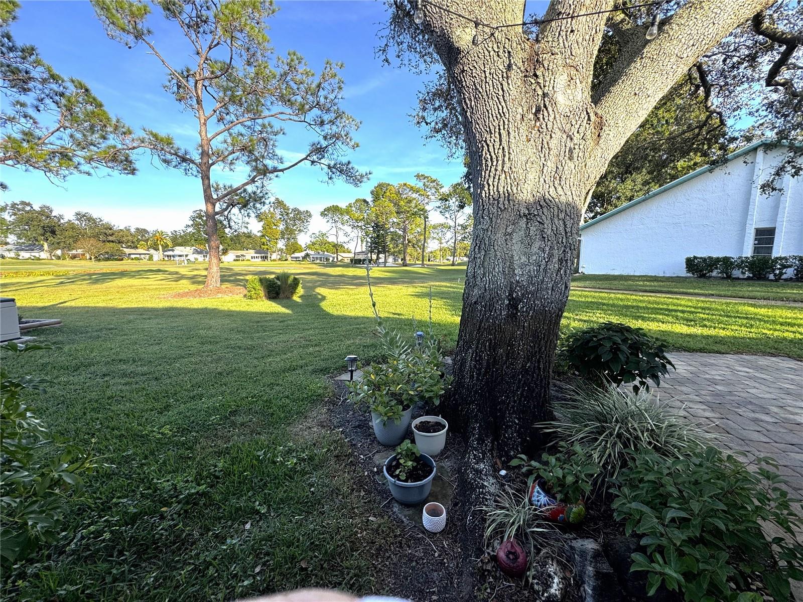 Image 19 of 21 For 1109 Madeira Drive