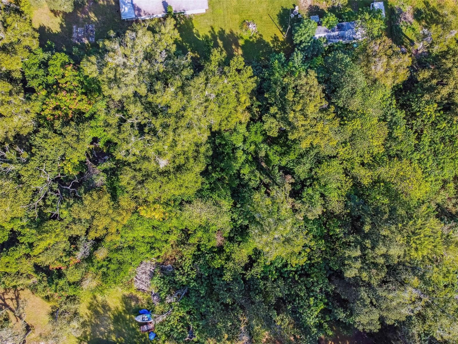 Image 5 of 29 For 8408 Richland School Road