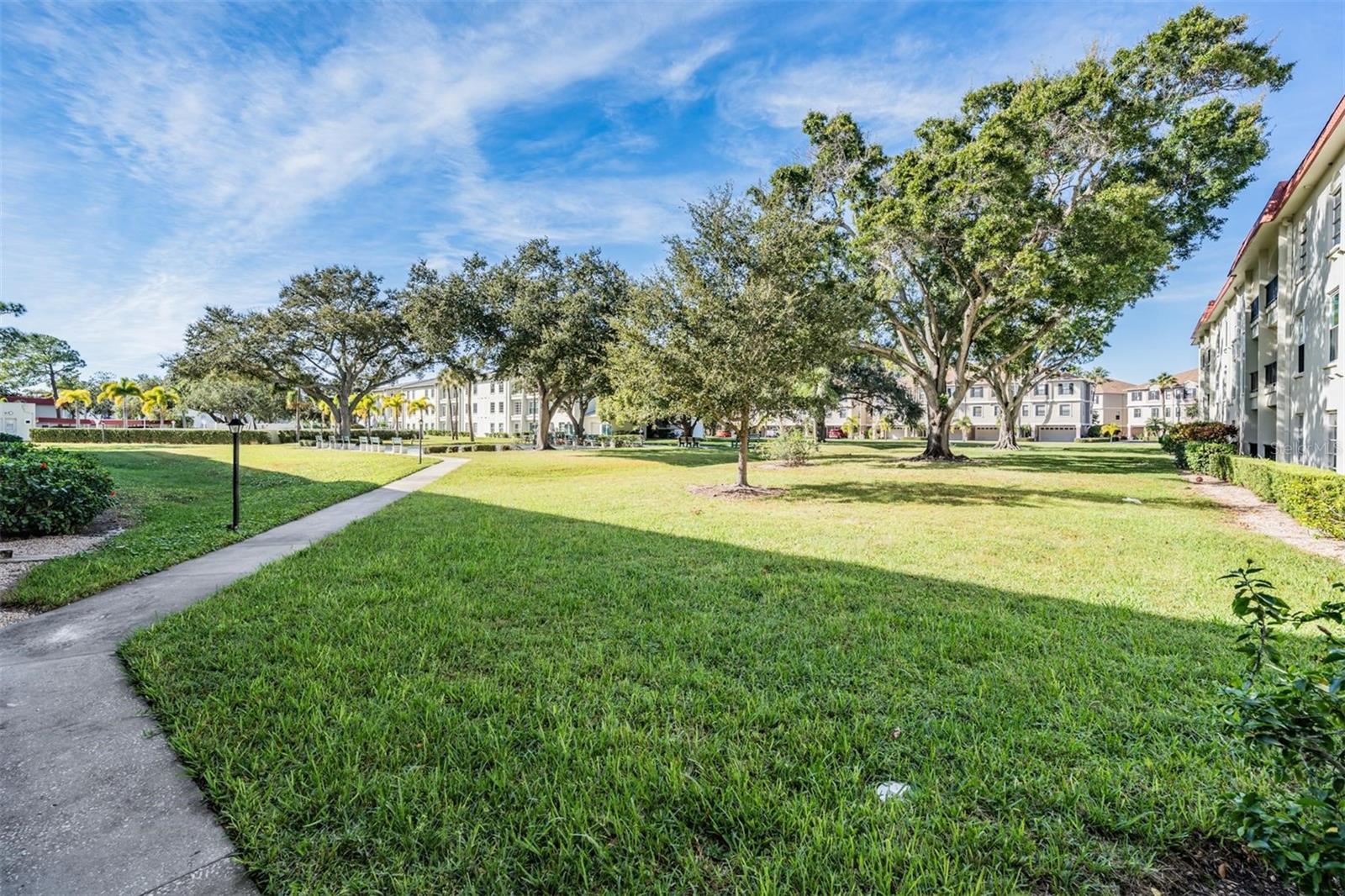 Image 12 of 31 For 2700 Bayshore Boulevard 4104