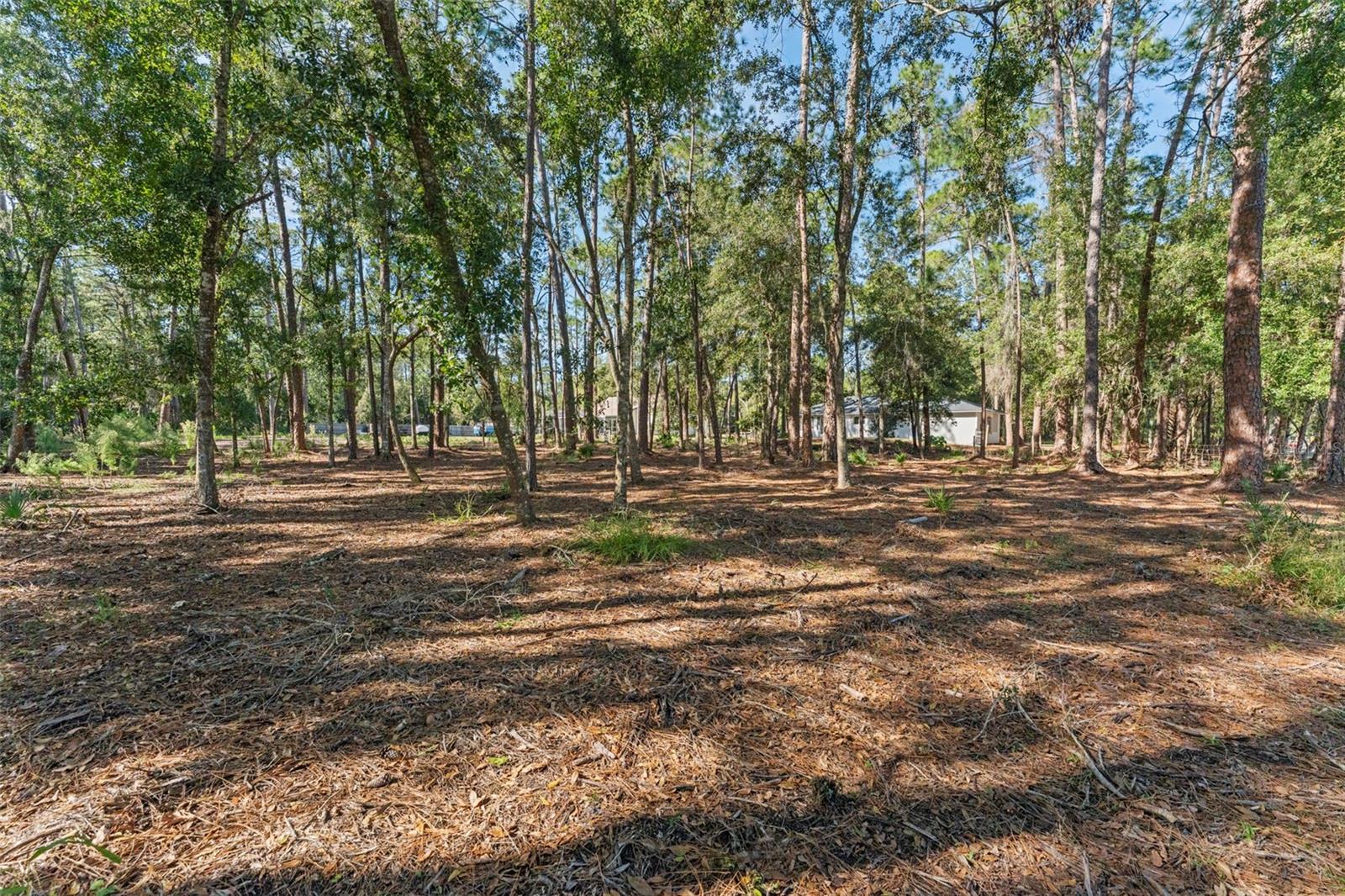 Image 40 of 44 For 27944 Green Willow Run