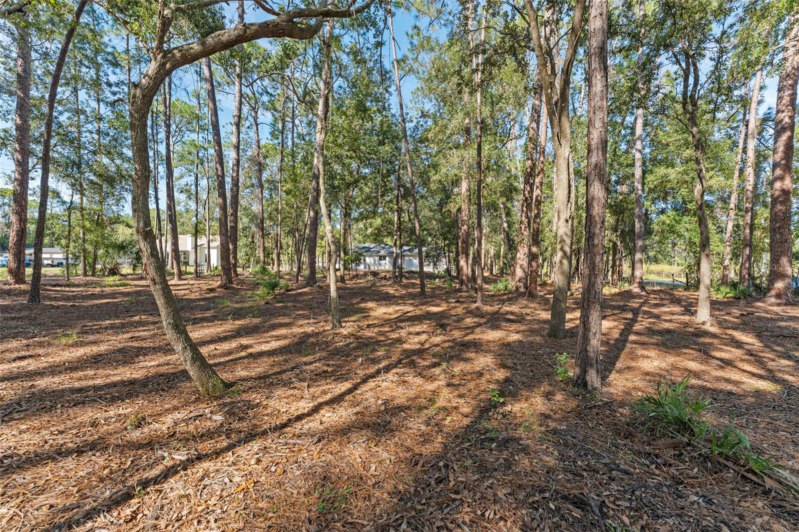 Image 41 of 44 For 27944 Green Willow Run