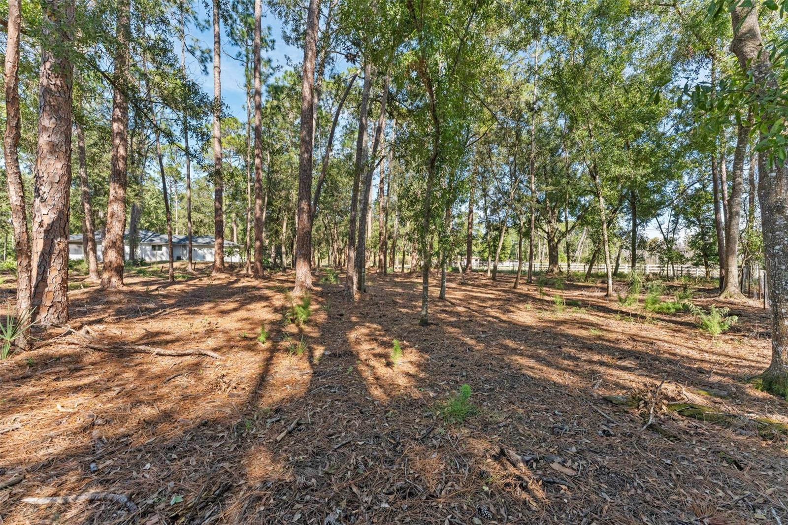 Image 42 of 44 For 27944 Green Willow Run