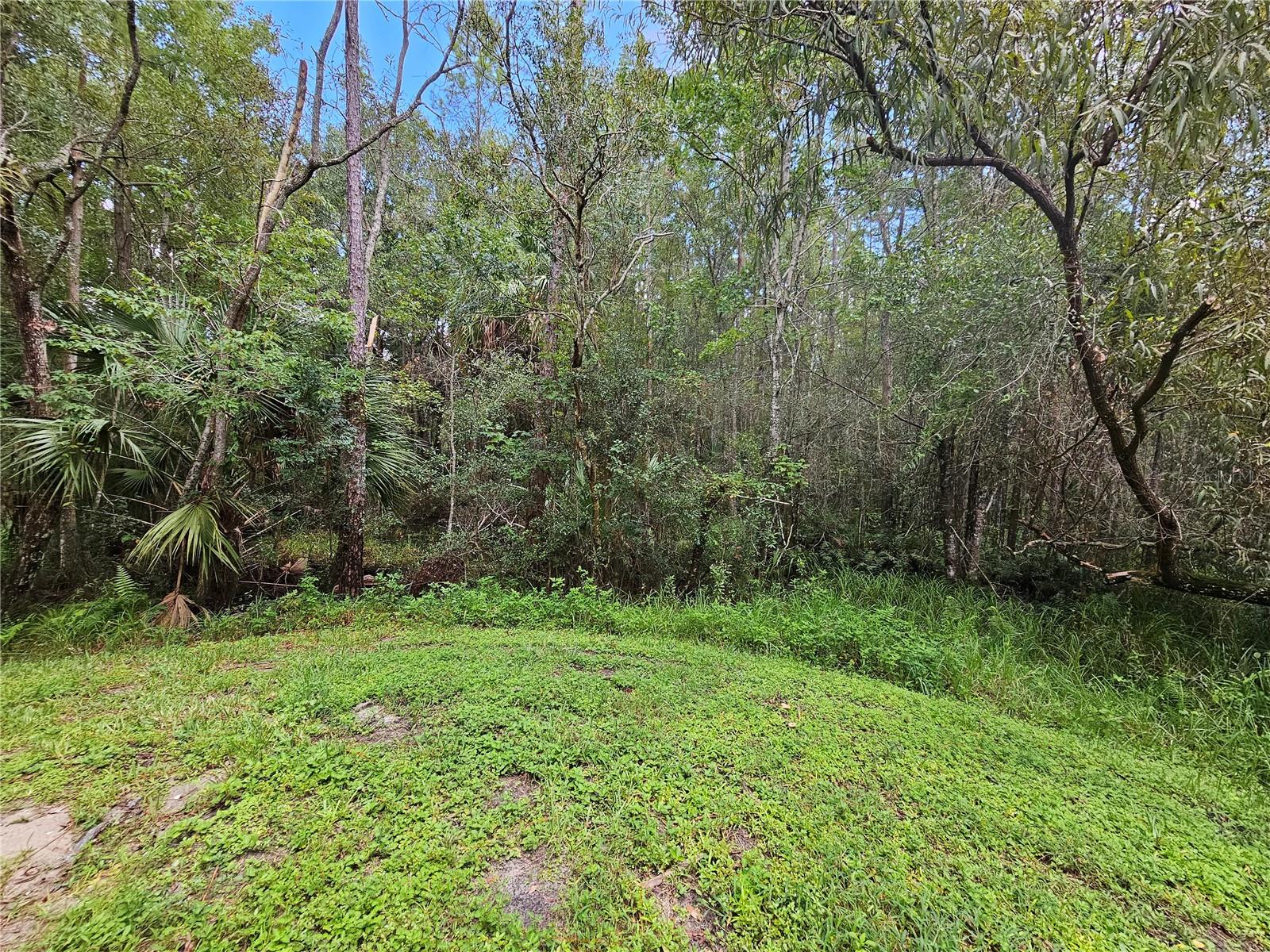 Image 45 of 48 For 16309 Fairford Palms Court