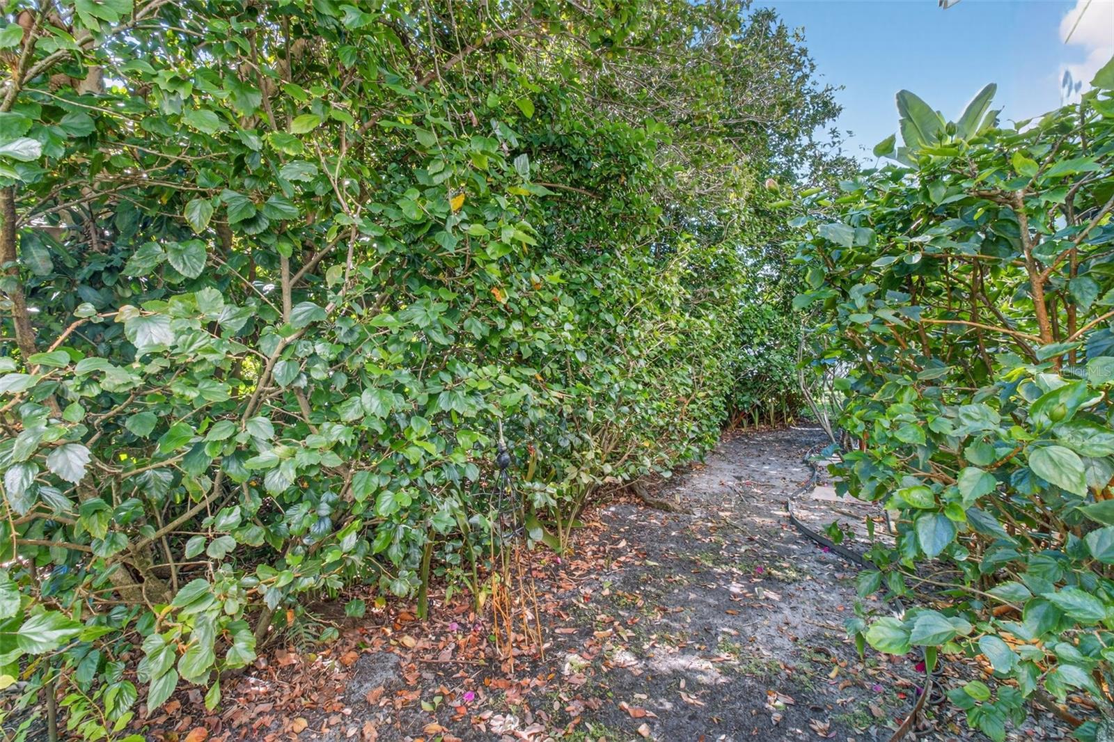 Image 32 of 48 For 1858 Lake Cypress Drive