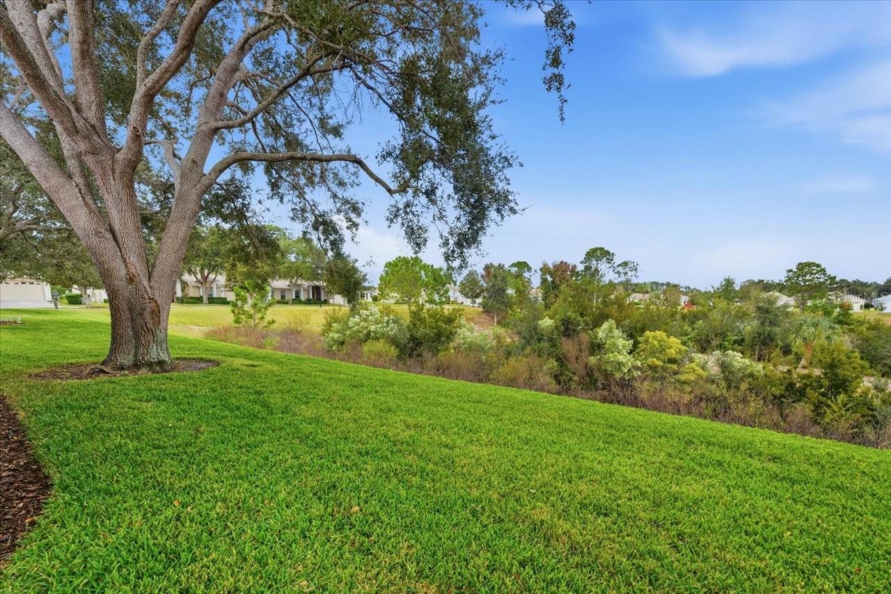 Image 36 of 44 For 18641 Rolling Hills Loop