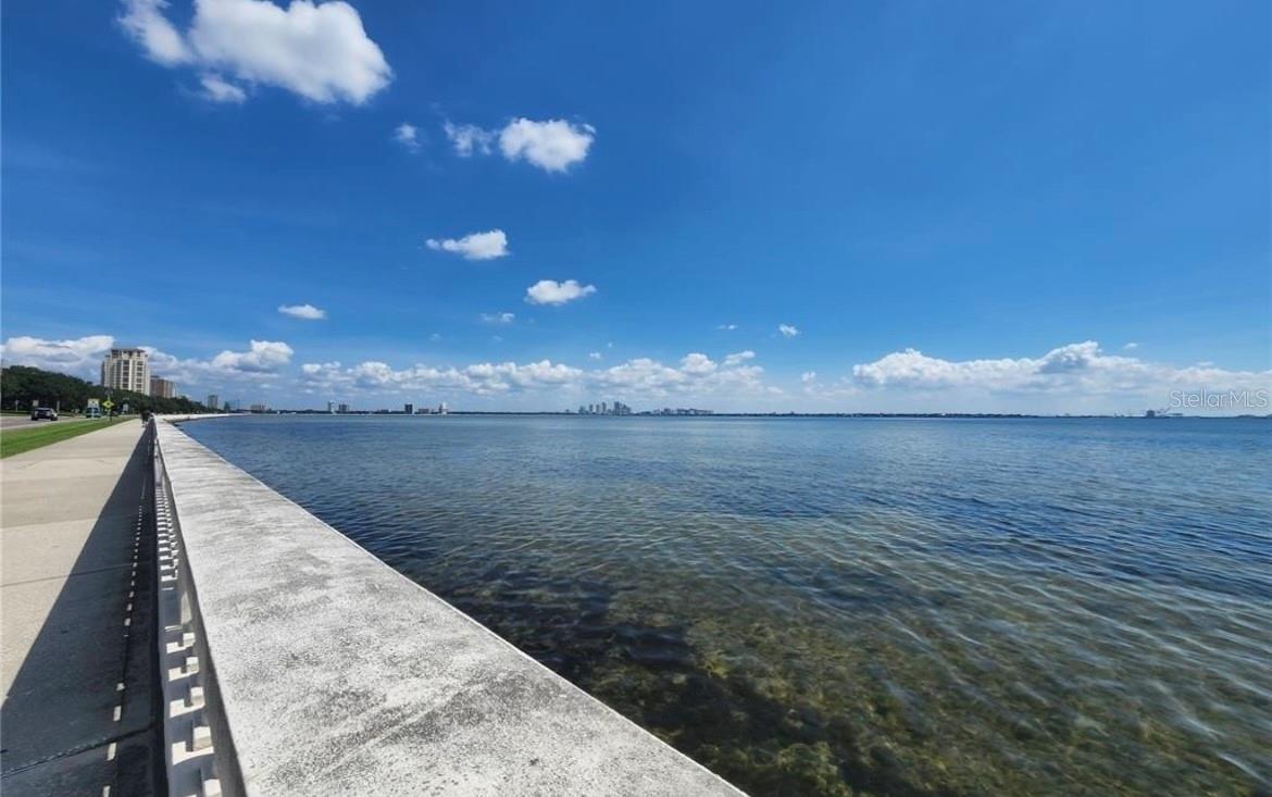 Image 3 of 50 For 2937 Coachman Avenue