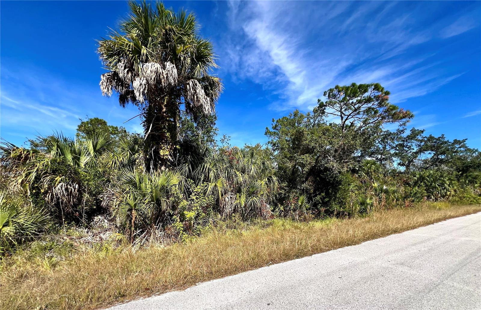 Details for Lot 8 Detroit Ave, HUDSON, FL 34667