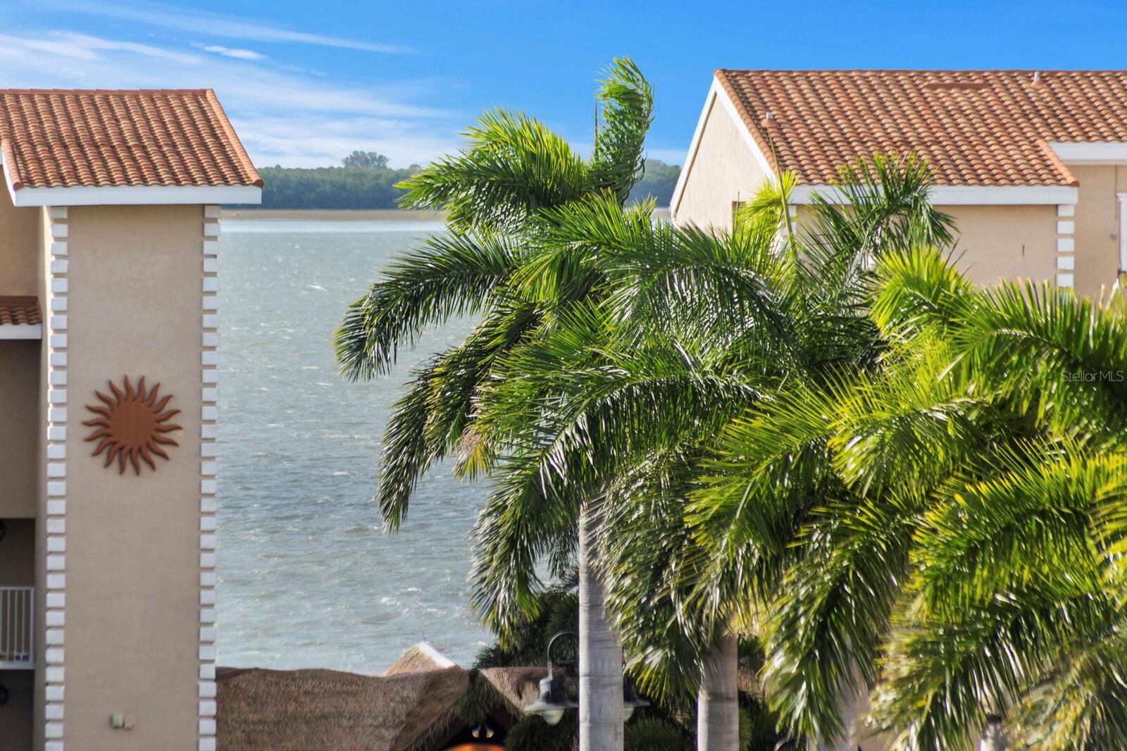 Image 55 of 70 For 1413 Bayshore Boulevard 2