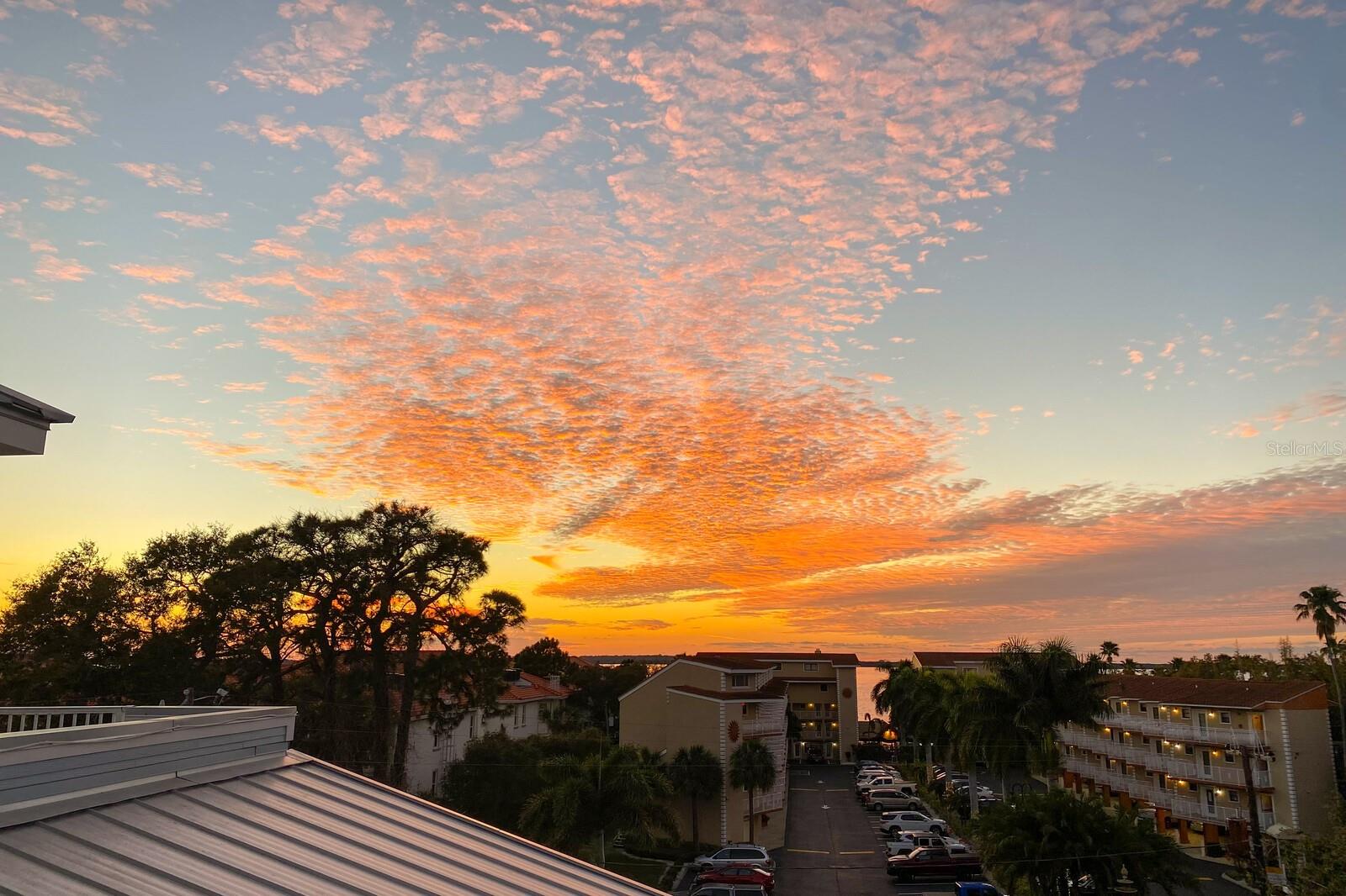 Image 56 of 70 For 1413 Bayshore Boulevard 2