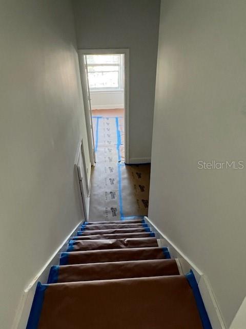 Listing photo id 53 for 96 Adalia Avenue