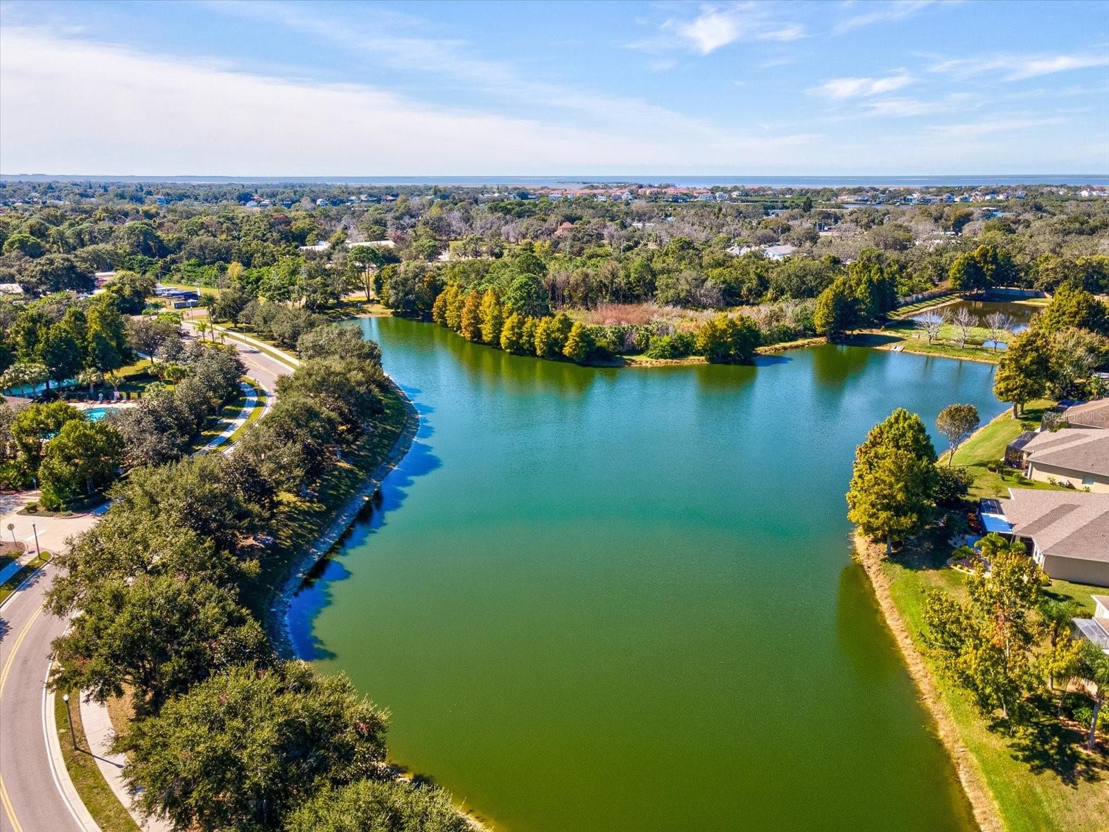 Listing photo id 36 for 2150 Parrot Fish Drive