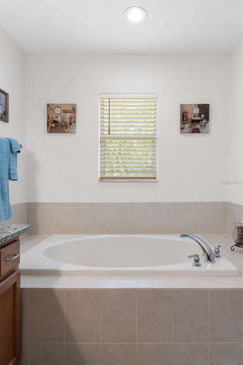 Image 38 of 71 For 7 Bigleaf Court