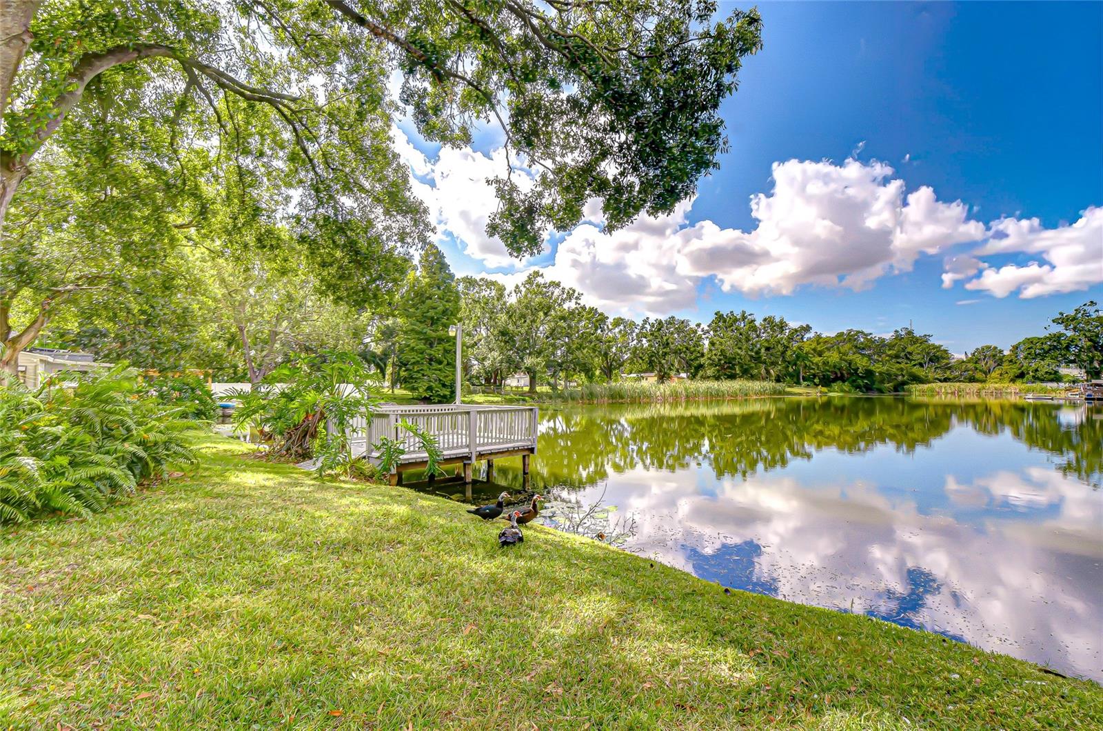 Image 29 of 76 For 8120 Albany Avenue